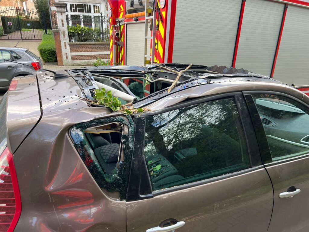 Uprooted trees, falling roof tiles: Brussels fire services called nearly 30 times&nbsp;