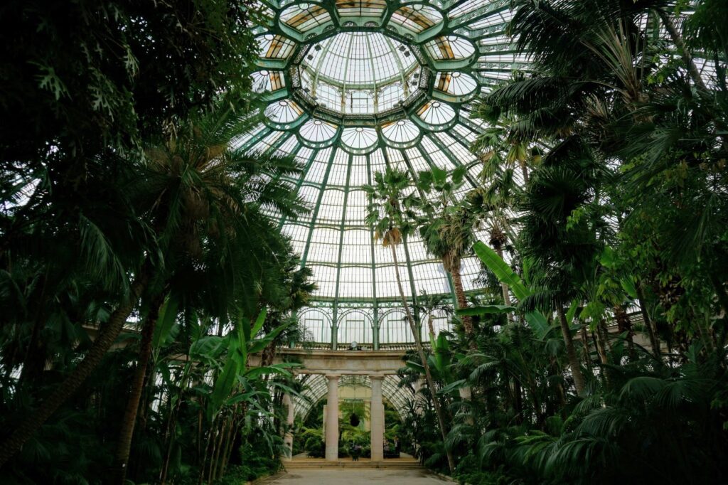 A peek inside Brussels' famous Royal Greenhouses in Laeken