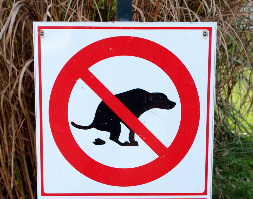 French tourist town fines dog owners €750 for not picking up after pet