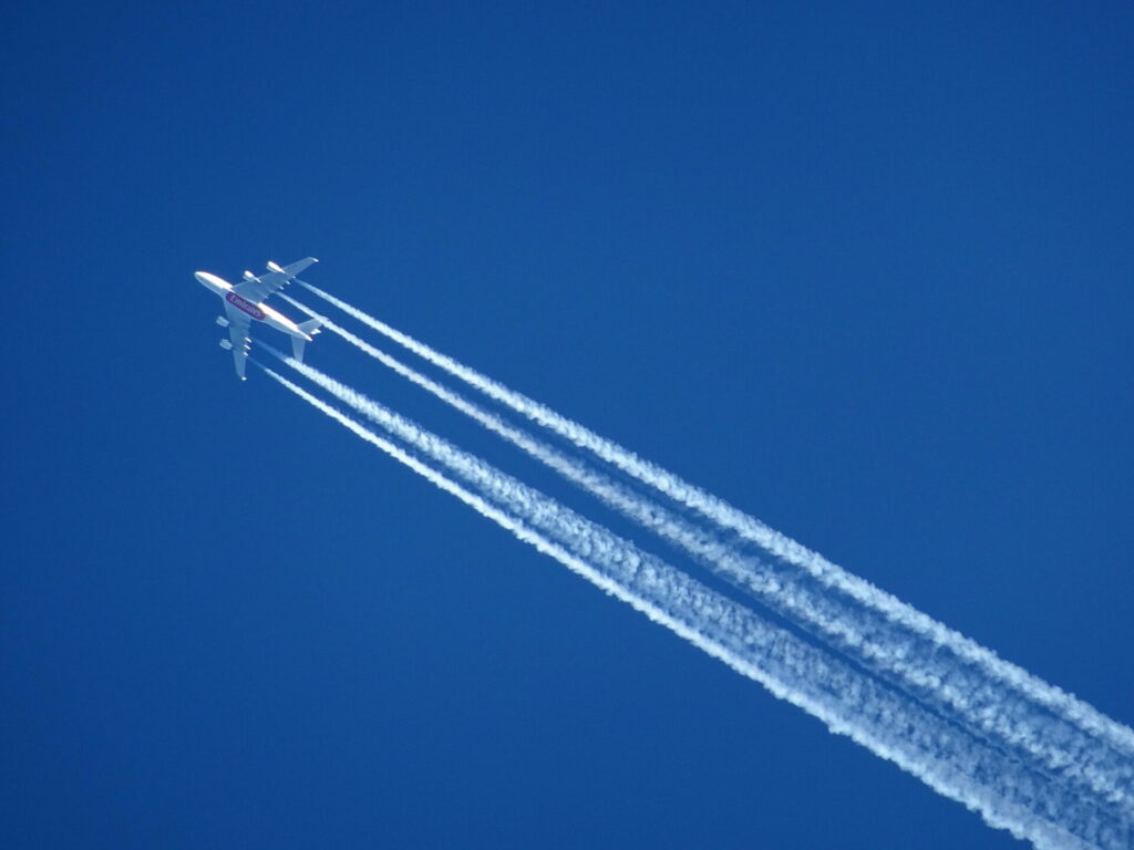 Experts sceptical on biokerosene as 'saviour' of aviation sector
