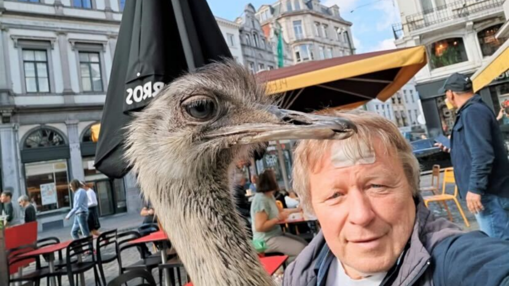 Travelling American Rhea visits Brussels: 'In Slovenia, he's very famous'