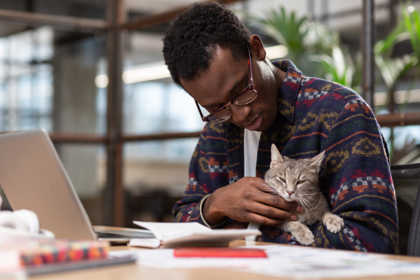 Improve your work life by getting an office pet, say researchers