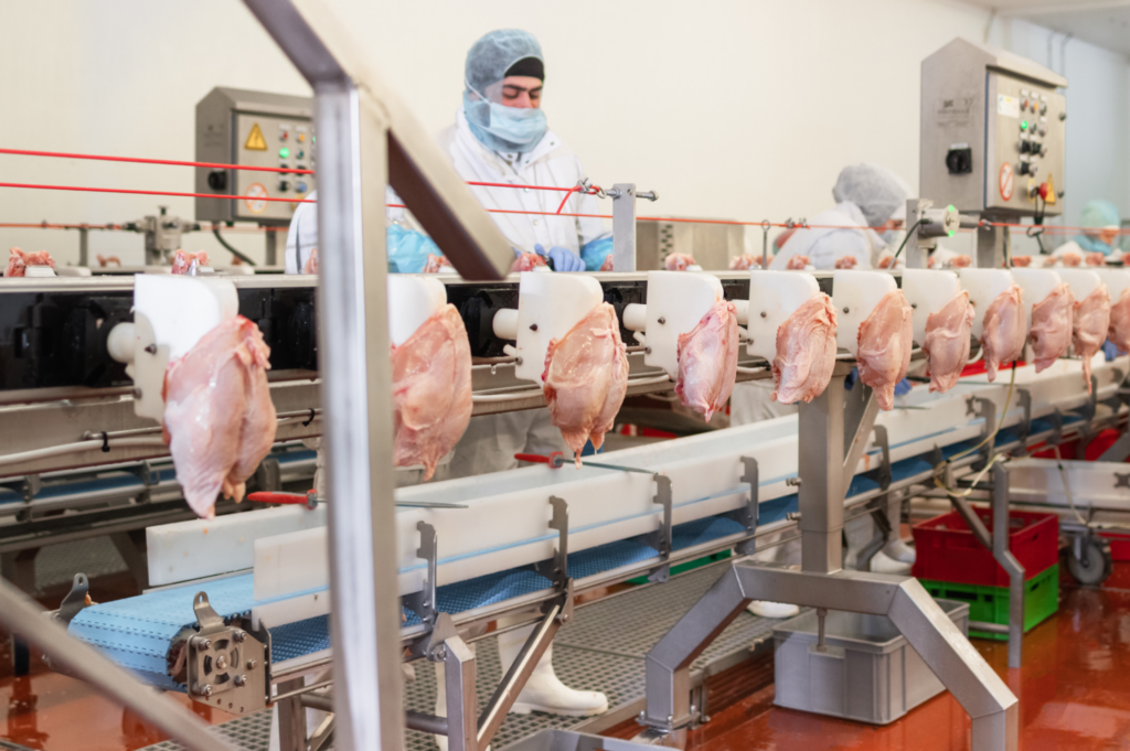 Unions team up to dignify meat workers in Europe