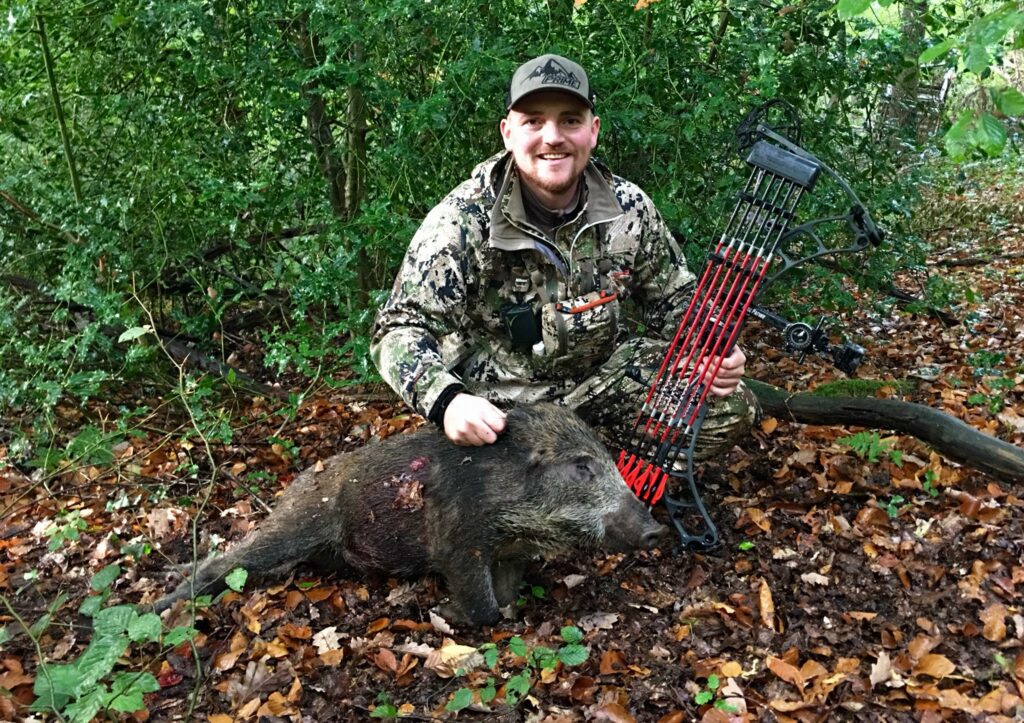 Flemish bowhunters propose hunting boar in residential areas