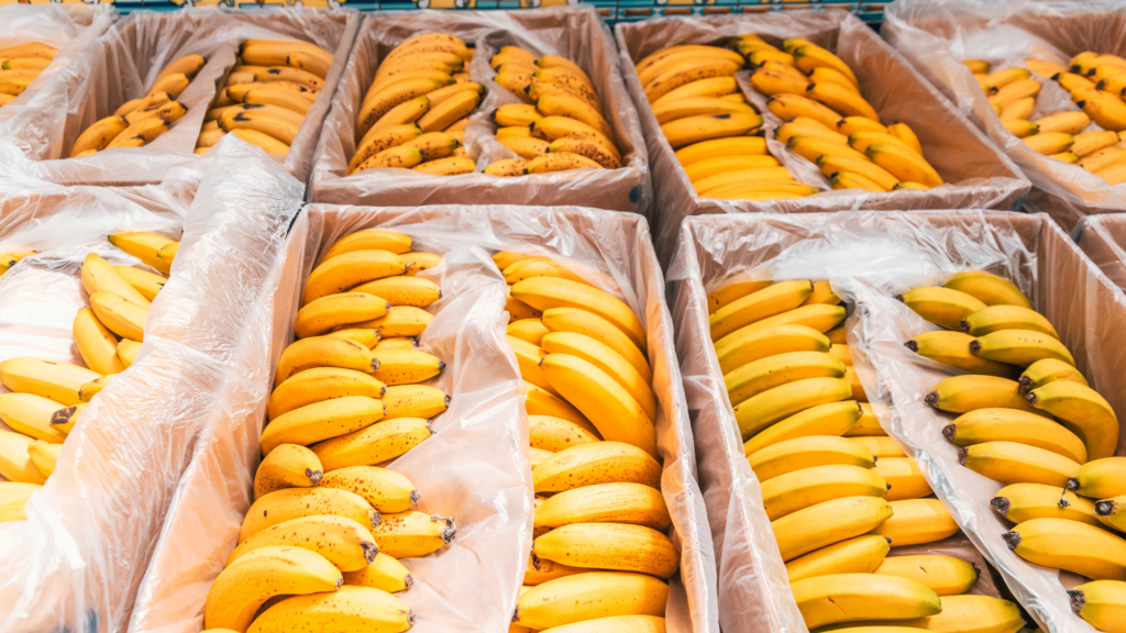 Over 800 kilos of cocaine discovered in banana crates in Czechia