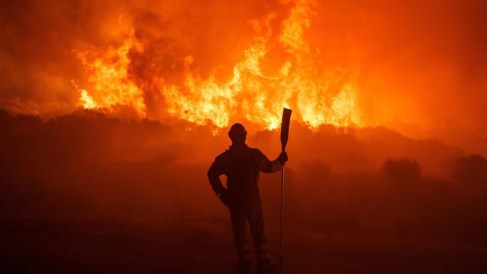 Climate crisis is world's "biggest security problem," Germany's Foreign Minister warns