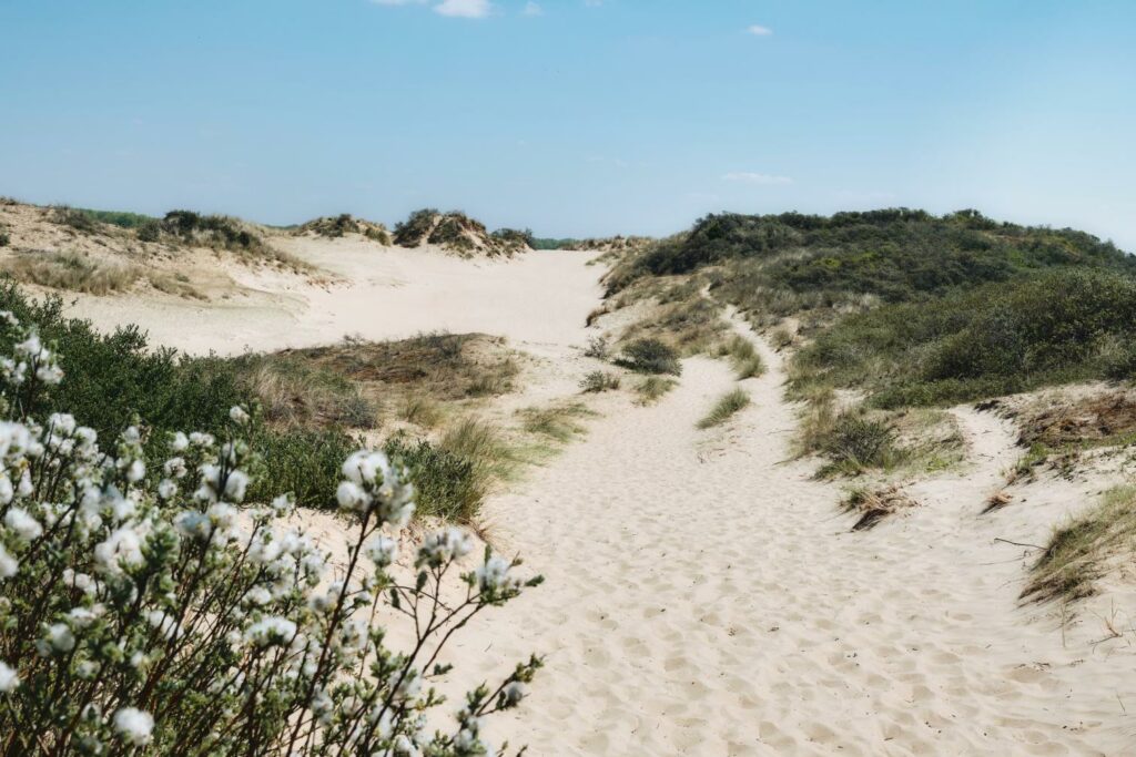 Belgian coast and Flemish countryside top Belgian Airbnb destinations ranking