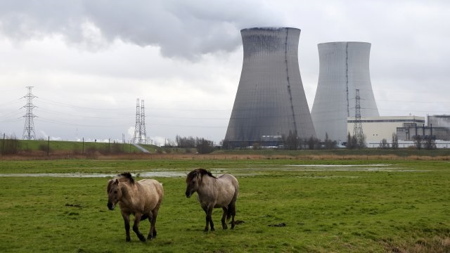 Doel 1 and 2 nuclear plants on the back burner due to the heat