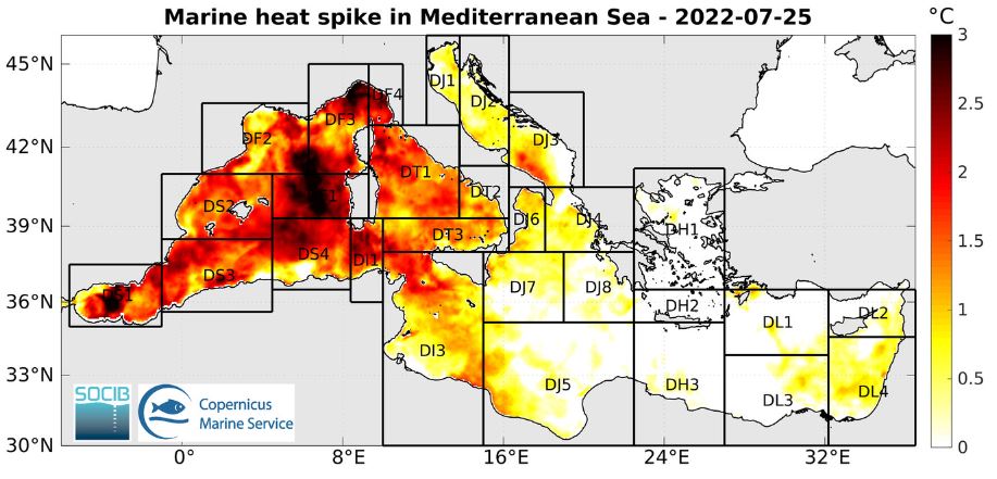 Mediterranean Sea Ecosystem Threatened by Heat-Induced 'Marine