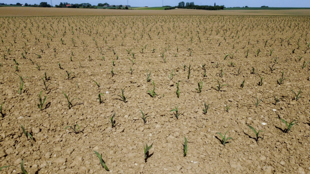 Extra drought measures in Flanders ahead of temperatures rising to 37°C next week
