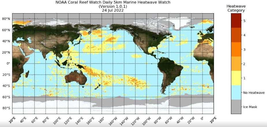 Mediterranean Sea Ecosystem Threatened by Heat-Induced 'Marine