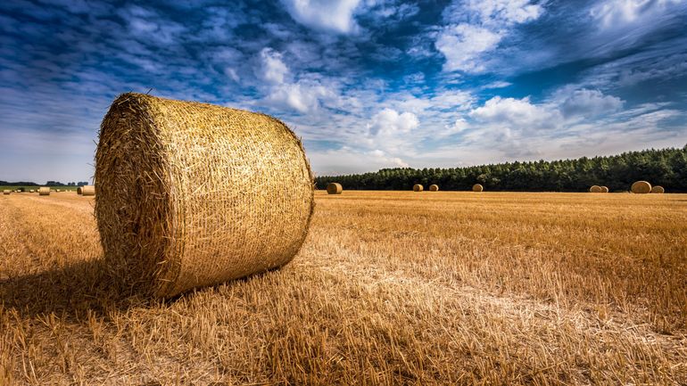Heat-induced fires hit areas in Wallonia