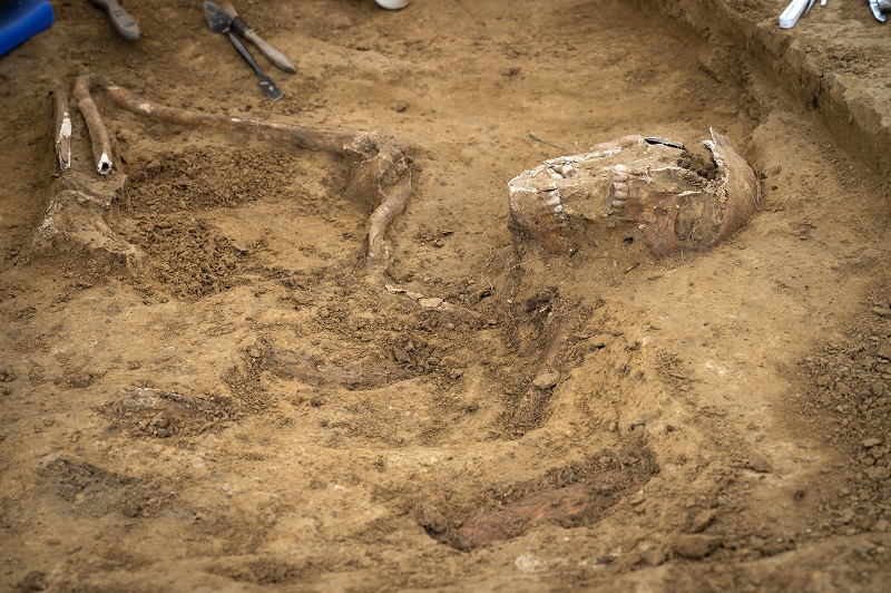 Archaeologists unearth skeleton dating from Battle of Waterloo