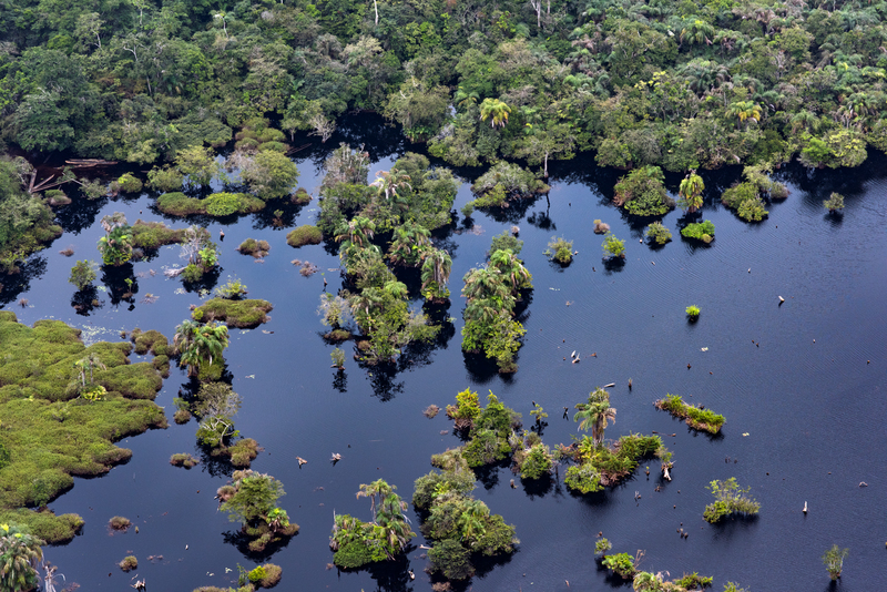 European Commission denounces oil drilling in African rainforest
