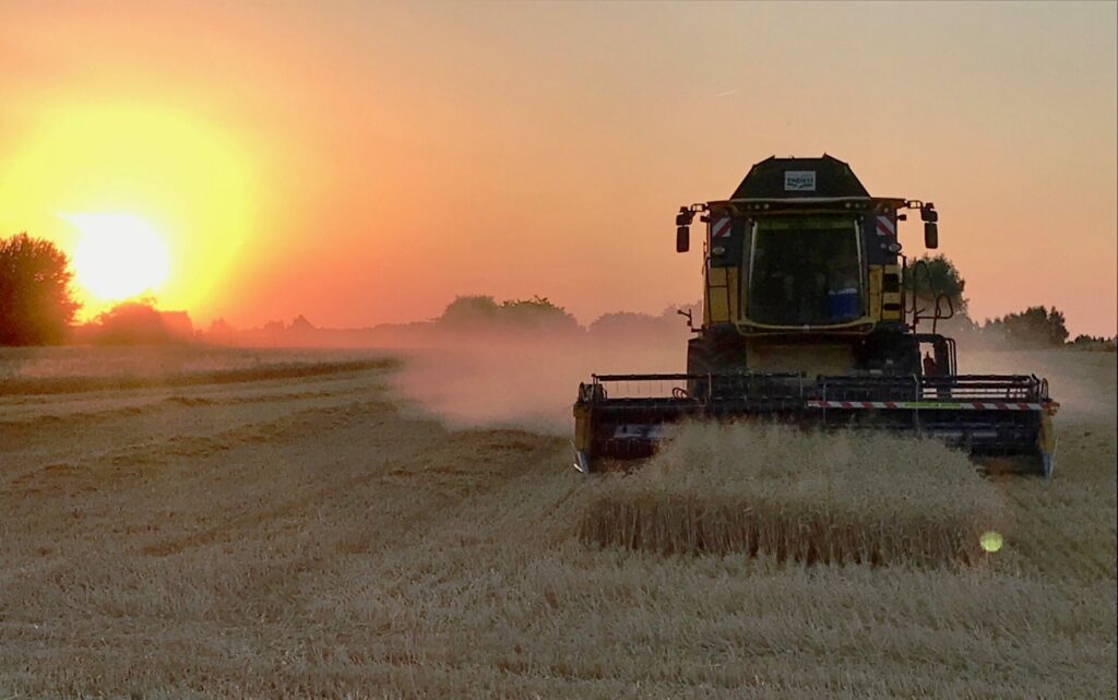 Belgian farmer with 800 tonnes of grain stuck in Ukraine