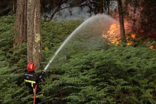 French investigators suspect massive forest fire was deliberately set