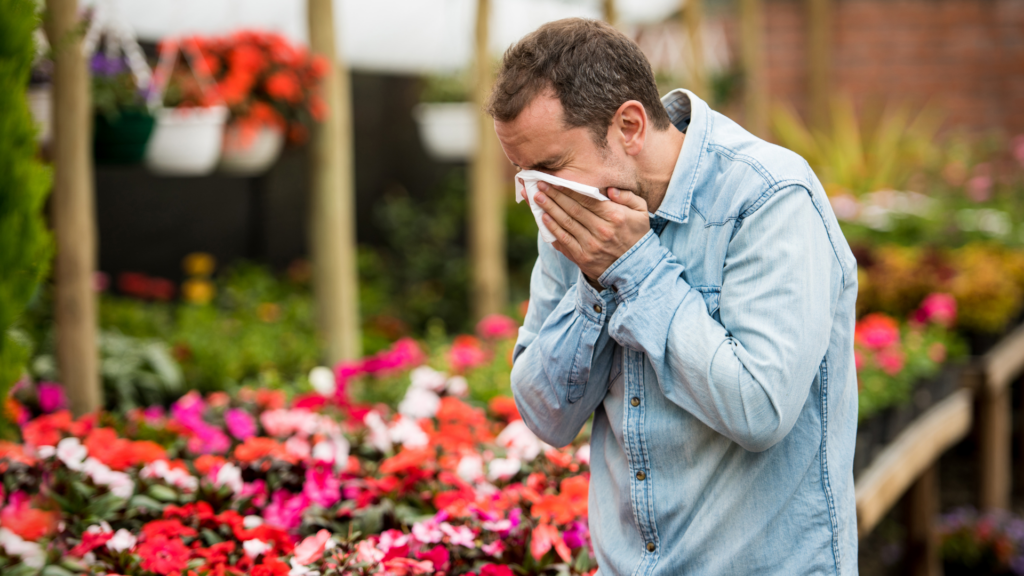 End of heatwave: Bad news for those with asthma and hay fever?