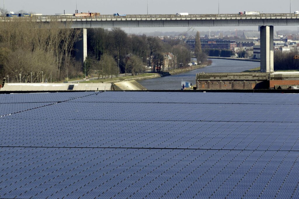 Belgian solar power industry watches Longi layoffs with concern