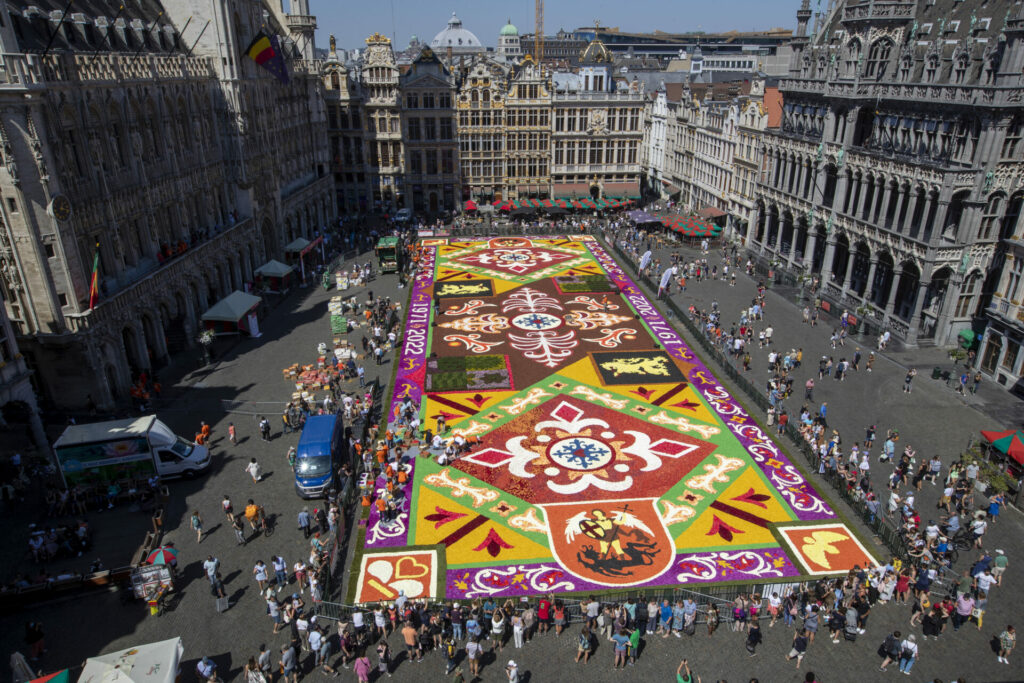 Brussels: 20,000 admirers view floral carpet from City Hall balconies