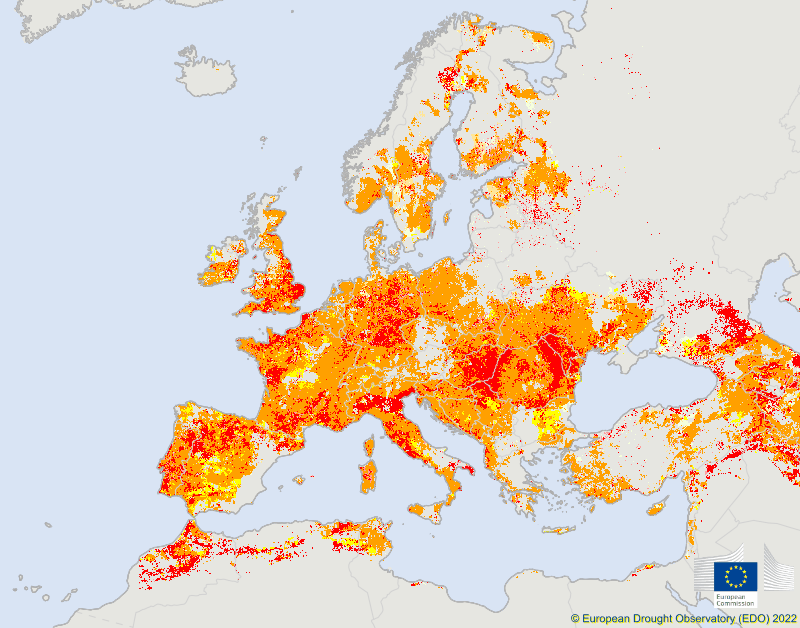 From water rationing to turning off fountains: How Europe is battling drought