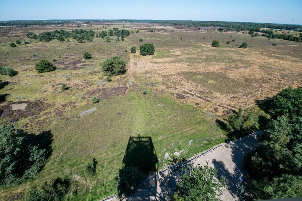 The Blue Deal: A new tool in Flanders to fight drought and floods