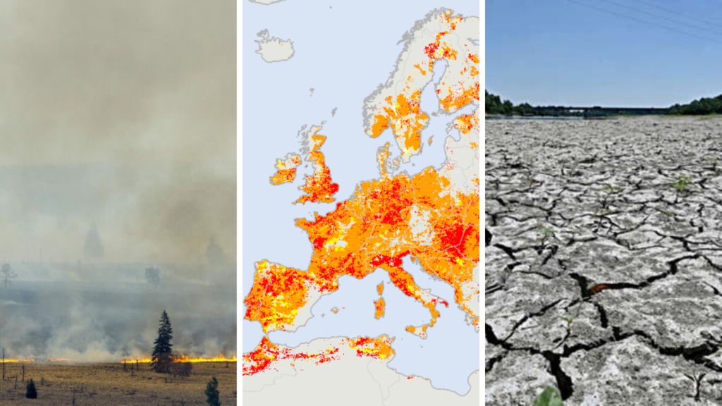 Belgium in Brief: Tackling the drought