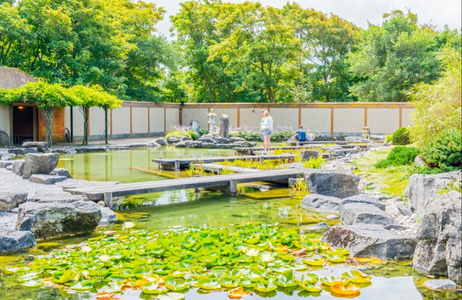 Hidden Belgium: A secret Japanese garden