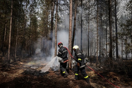 France to deploy 'green police' against fire-starters