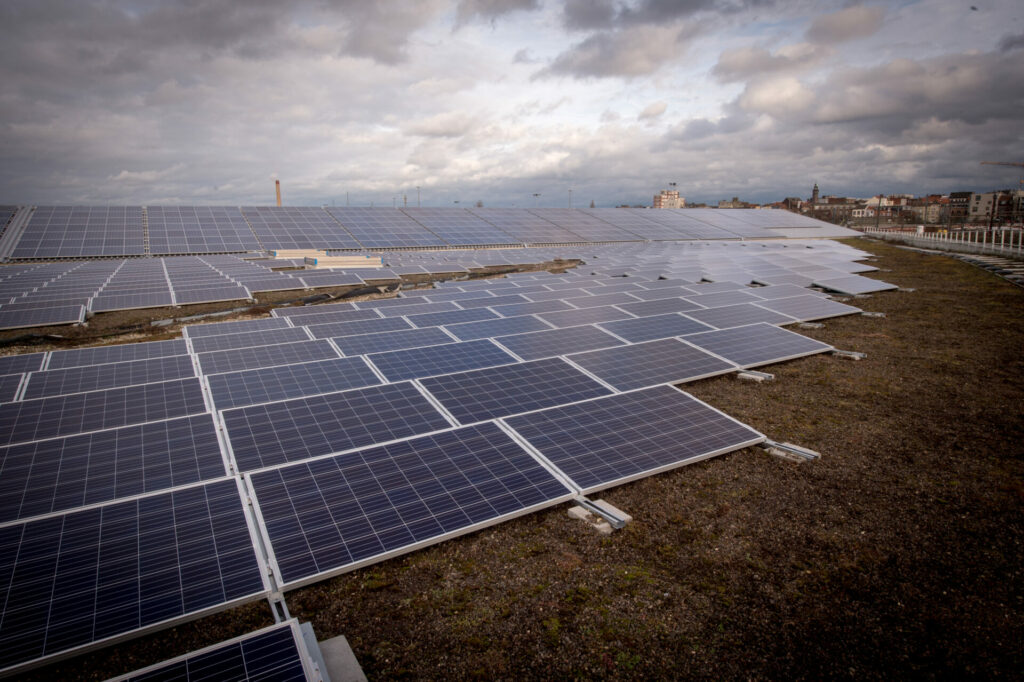 Electricity price plunges to historical low again