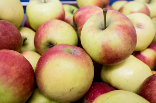 Tough year for Belgium's apple sector, says Farmers' Union