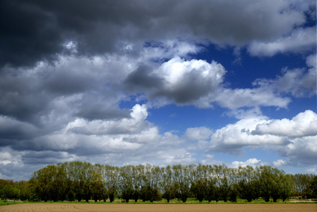 Weather: Cloudy with a chance of rain in western Belgium