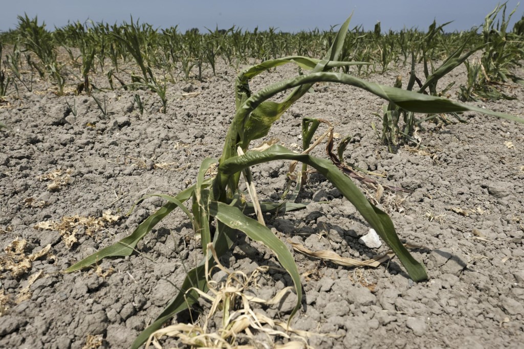 Drought and heat have far-reaching effects on human activity