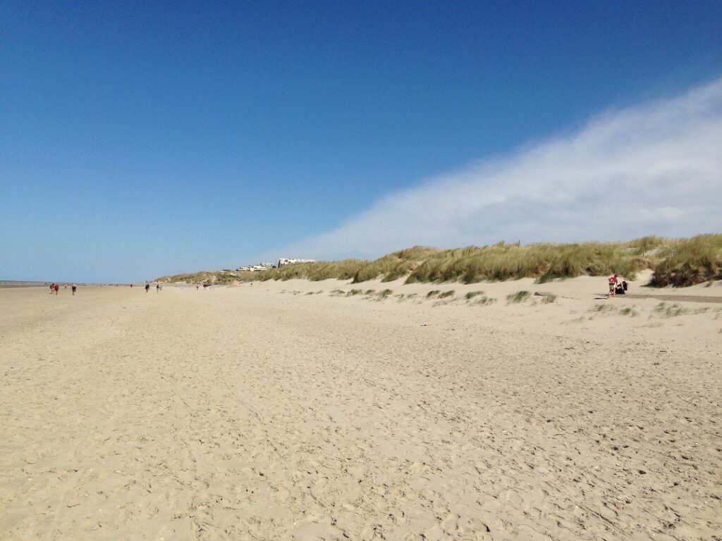 Hidden Belgium: A wild walk in the dunes