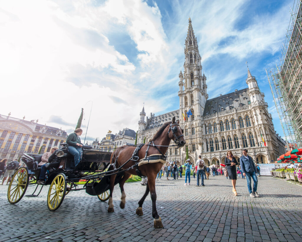 Brussels MP protests use of horse-drawn carriages in the heat