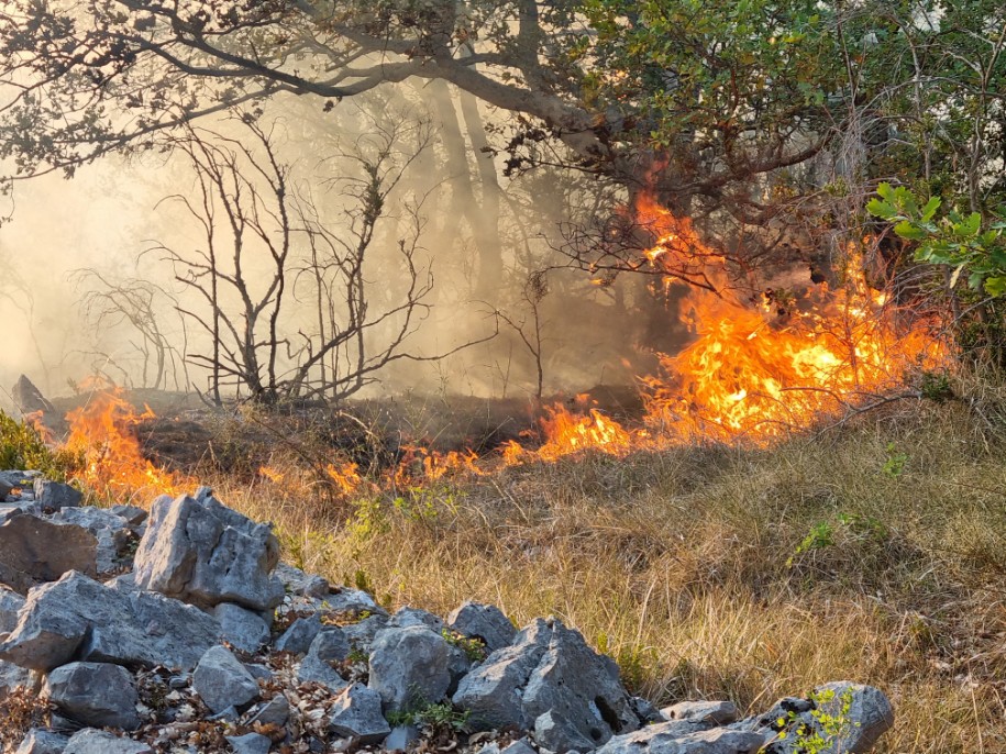 Huge forest fire reignited in France, Belgium fires also increasing