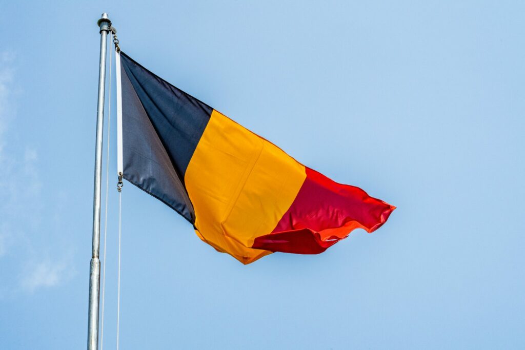 Almost 40,000 people acquired Belgian nationality in 2021