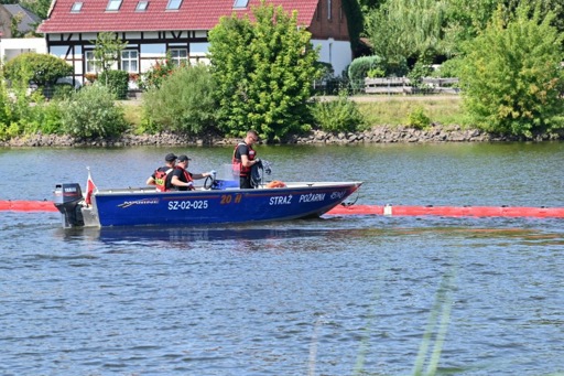 Polish firefighters remove 100 tonnes of dead fish from the Oder