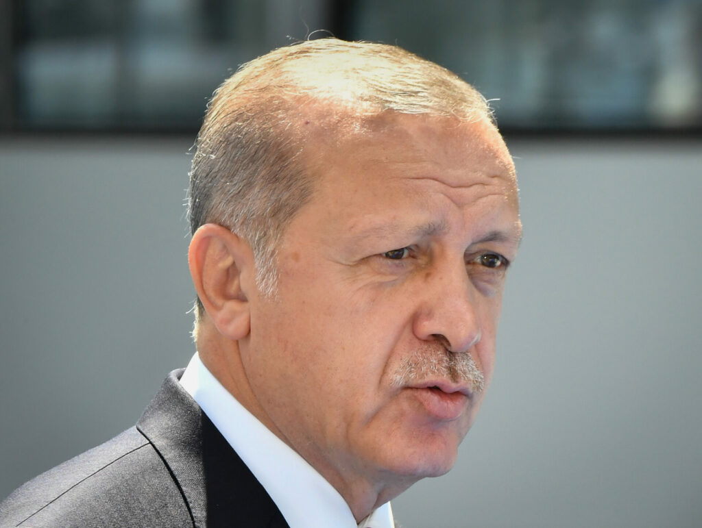 Erdogan calls for end to Ukraine war 'as soon as possible'
