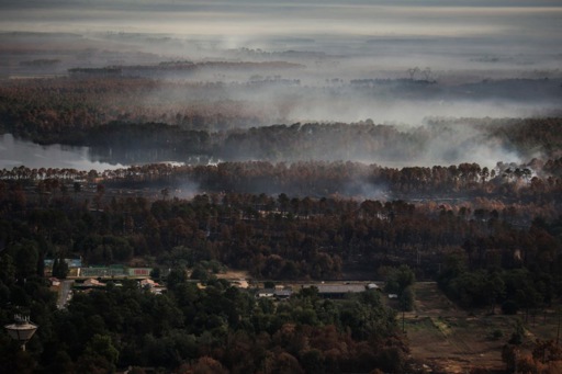 Forest fires in Europe caused the highest emissions in 15 years