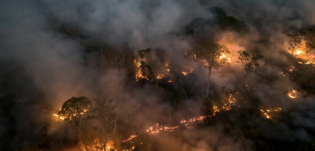 Amazon forest burns more quickly than ever, EU complicit
