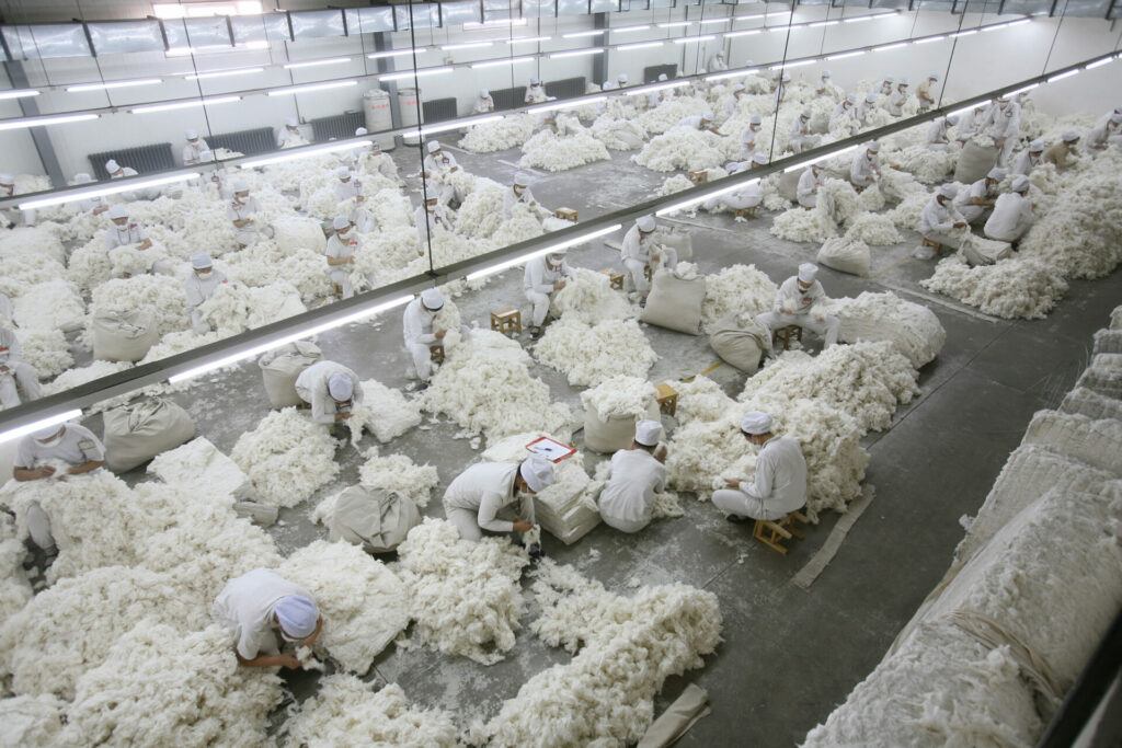 Decathlon accused of benefiting from Uyghur forced labour