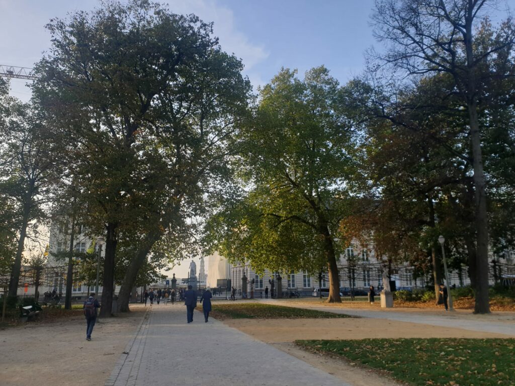 Sun expected to show itself regularly during extended weekend