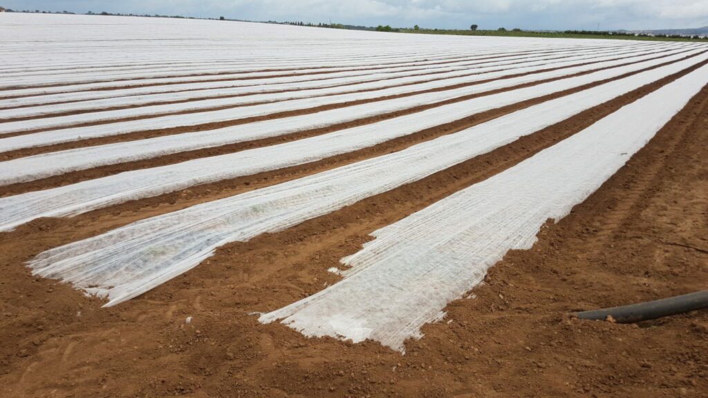 Plastics from farming activities seep into soil, threatening food security
