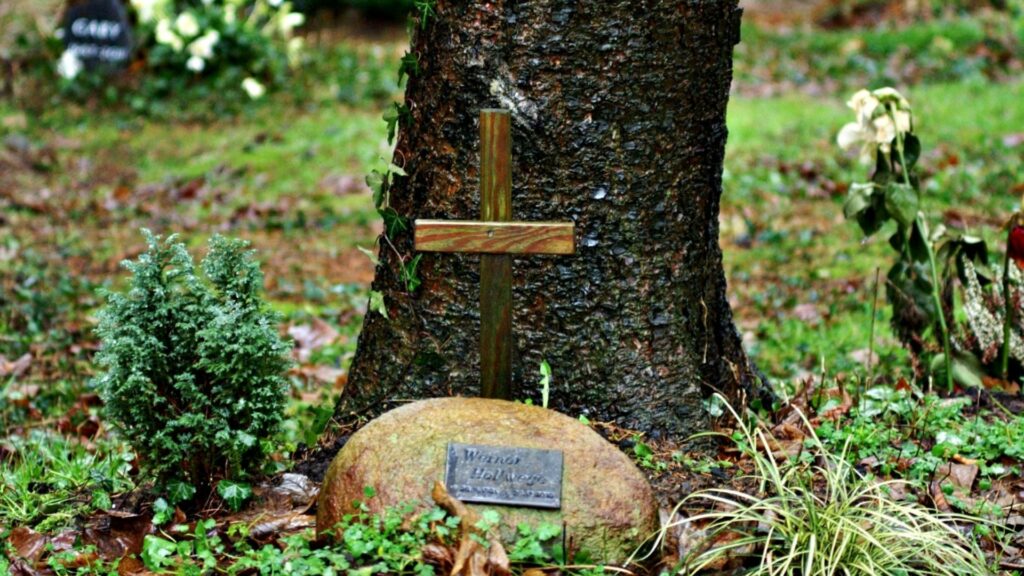 Rest in nature: Popularity grows for natural burials