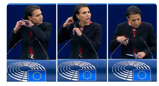 Swedish MEP cuts off hair during speech in support of Iranian women
