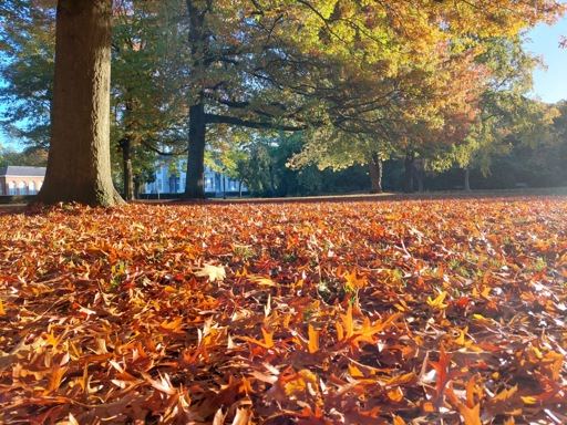 25°C exceeded in Brussels today, a new record