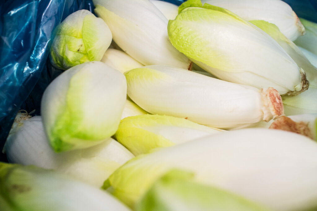 Energy crisis threatens famed Belgian endives in Wallonia