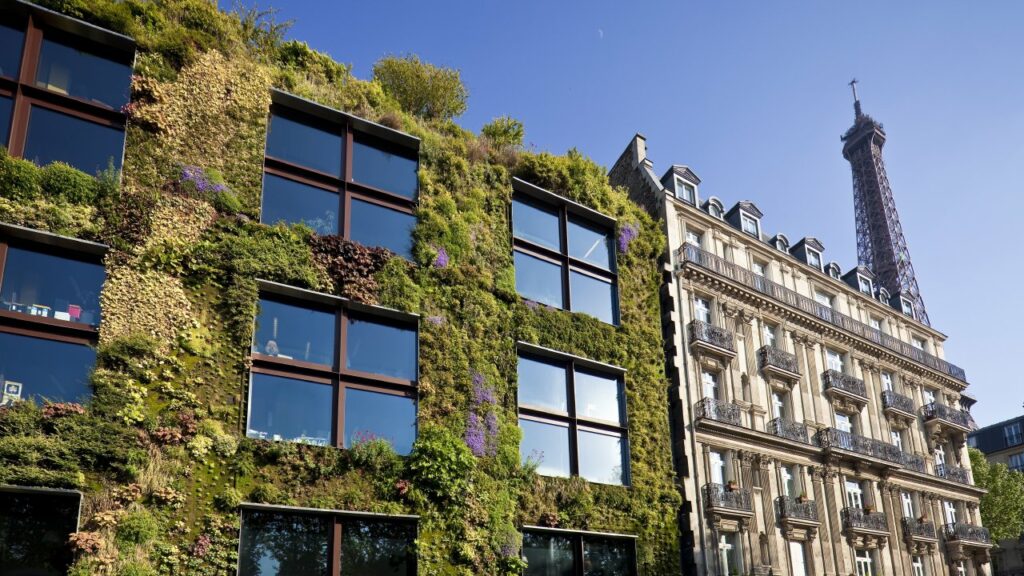 'Vertical gardens': €500,000 to create green facades on public buildings
