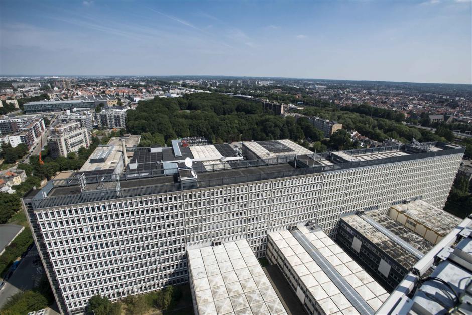 Greenpeace protests felling of trees at Brussels Mediapark site