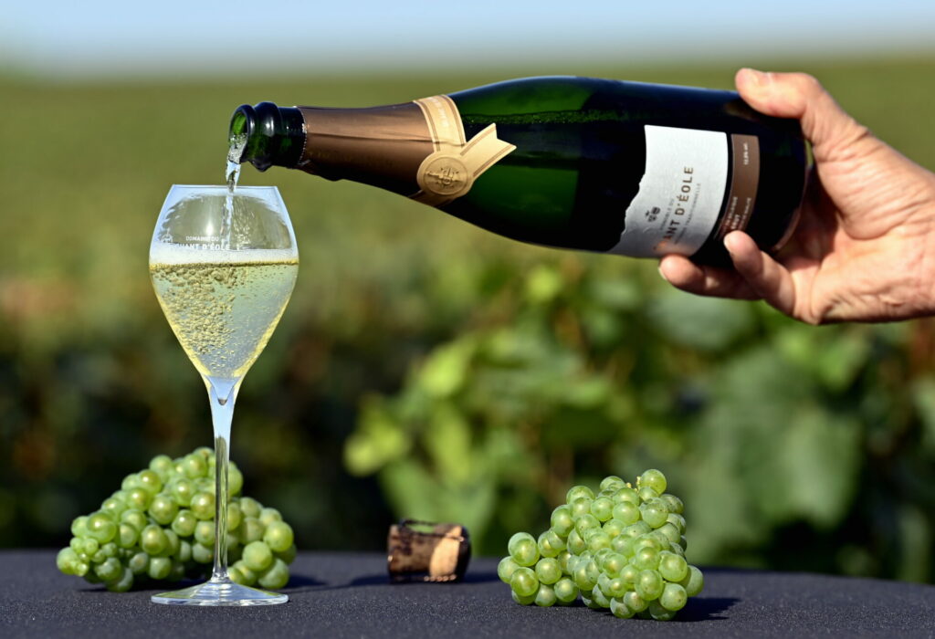 13 Belgian wines awarded five stars in wine guide